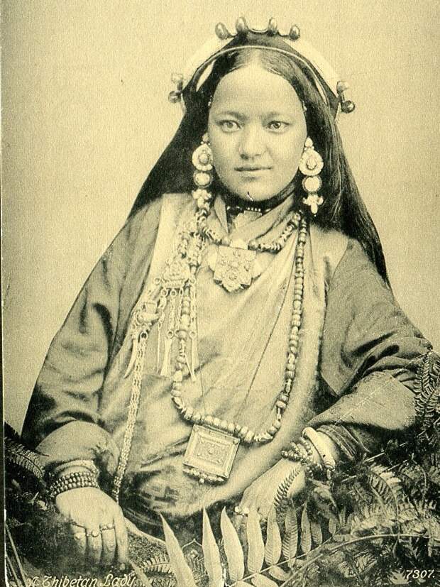 card0335.jpg