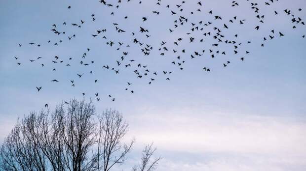 Народные приметы 22 марта: что можно и нельзя делать в этот день