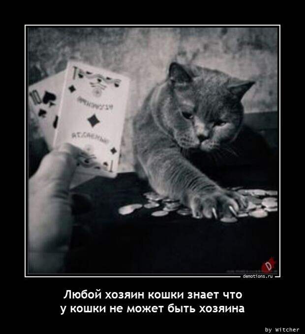 Демотиваторы-приколы (14 фото)