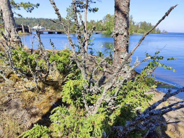 Mash: в Бурятии распилят озеро