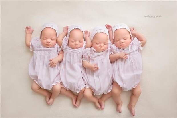 Привет, мир! Абсолютно одинаковые четверняшки выступают в качестве очаровательных фотомоделей беременность, близнецы, дети, фото
