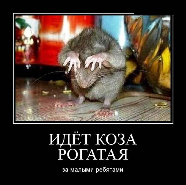 Демотиваторы