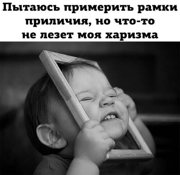 Очень смешные свежие картинки с надписями (вторник)
