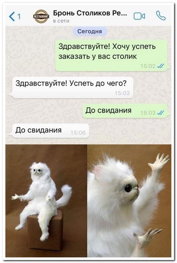 Забавные комментарии из социальных сетей