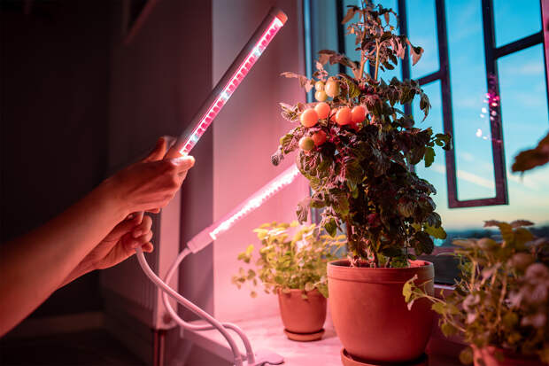 Россиян предупредили об опасности популярного вида ламп