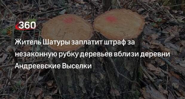 Житель Шатуры заплатит штраф за незаконную рубку деревьев вблизи деревни Андреевские Выселки