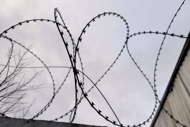 Обнаружен решивший делать бизнес с 600 килограммами наркотиков россиянин