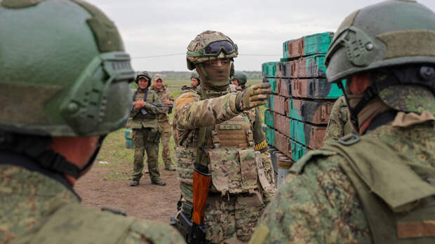 Американский профессор заявил о неспособности армий ЕС конкурировать с Россией