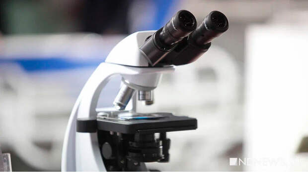 ВОЗ прогнозирует распространение вируса Нипах из-за слабой изученности