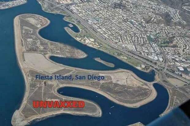 Власти Сан-Диего приравняли неуколотых к прокаженным и хотят выделить для них остров.