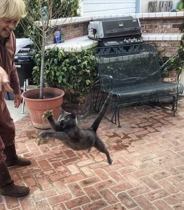 Попалась