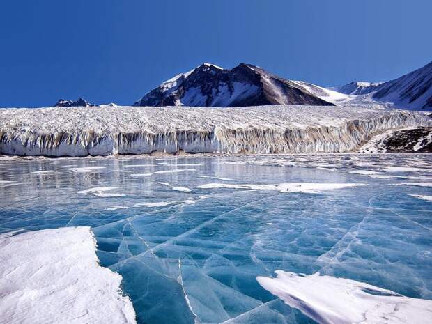 10 невообразимо крутых фактов об Антарктиде, которые вы могли не знать