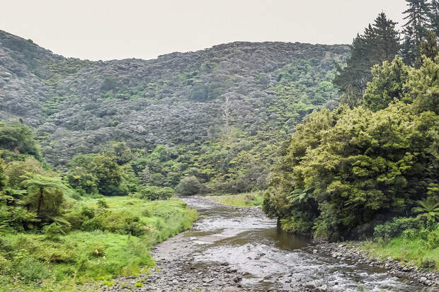 Семья туристов с детьми оказалась заблокирована в ущелье из-за наводнения