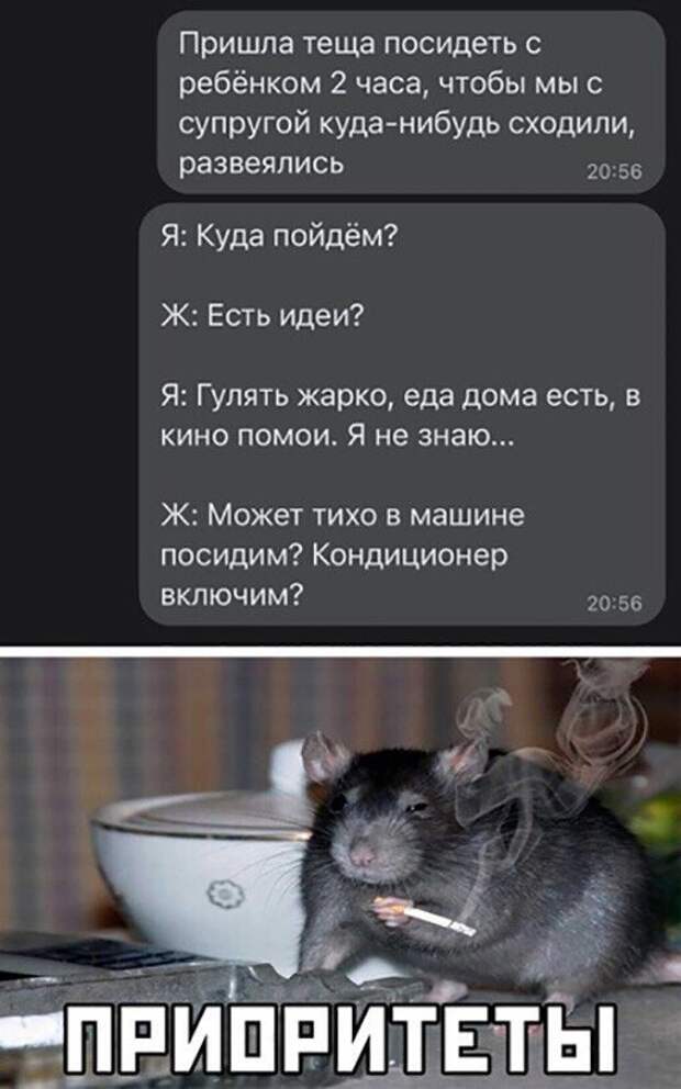 Смешные и познавательные картинки