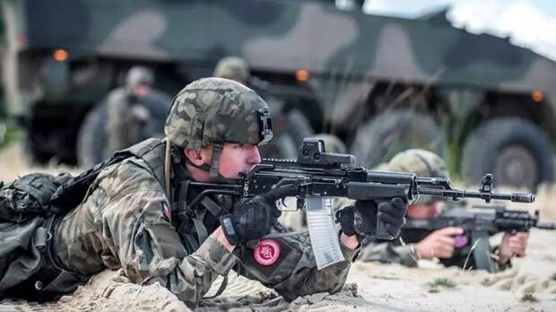 «Вам же и убирать»: военкор оценил идею Варшавы о минировании границы с РФ