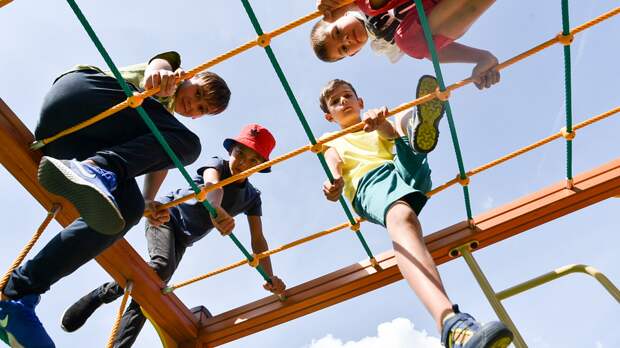 «МК»: в Подмосковье школьница приказала девочке облизать ее новые штаны