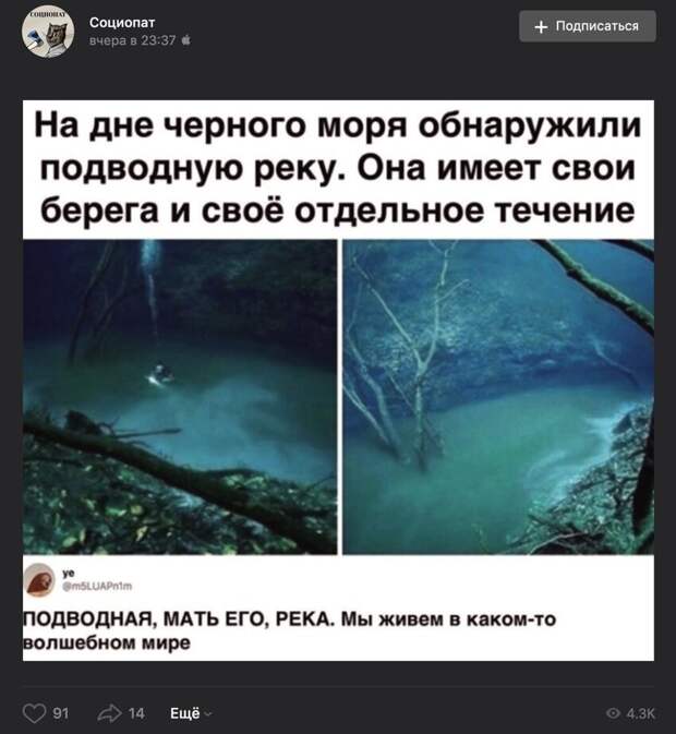 География в шоке. На фото сенот Ангелита – подводное озеро, которое находится в Мексике. География в шоке. На фото сенот Ангелита – подводное озеро, которое находится в Мексике.