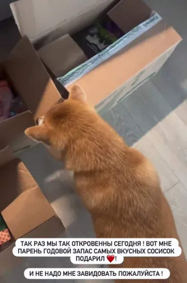 Фото Анны Седоковой