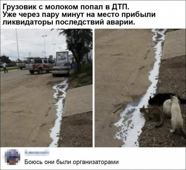 Забавные комментарии из социальных сетей