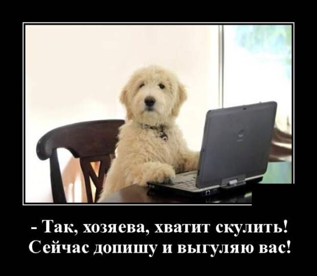 demotivatory-demotivator-smeshnye-demotivatory-demotivator-so-smyslom