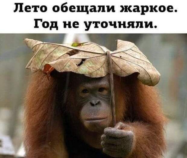 Клевые картинки с надписями (воскресенье)