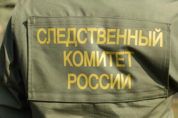 Под Приозерском погиб шестилетний мальчик