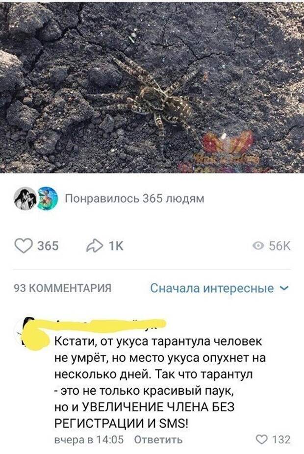Смешные и познавательные картинки