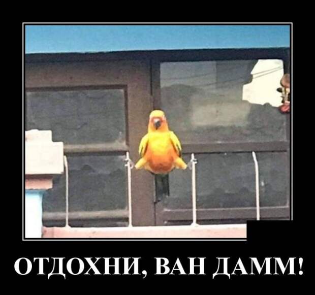 www.vsyako.net