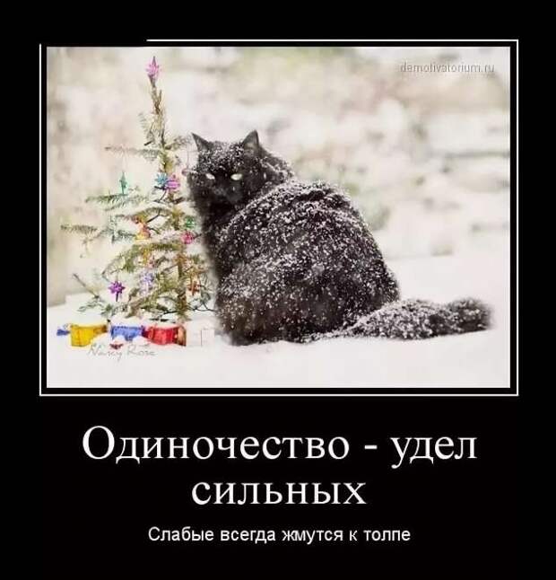 Картинки демотиваторы смешные позитивные