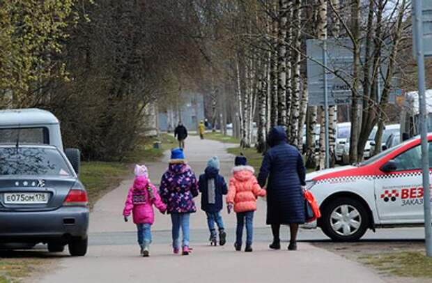 На рассмотрение в Госдуму РФ поступил законопроект, предлагающий уточнить содержание понятия «многодетная семья»