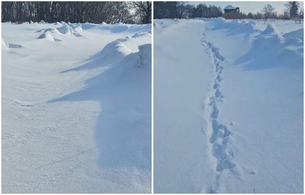 Жителям деревни Грабоново под Веневом обещают почистить снег до 1 марта: дорога вновь заблокирована