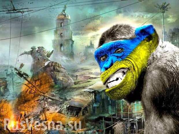 Постоянный хаос — нормальное состояние украинского государства | Русская весна