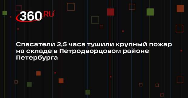 Спасатели 2,5 часа тушили крупный пожар на складе в Петродворцовом районе Петербурга