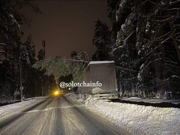 Ангел-хранитель или карма: брошенная на обочине в Солотче фура предотвратила падение дерева