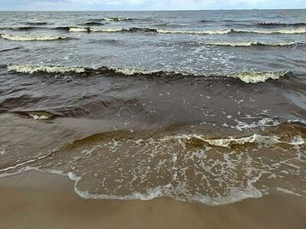 Дети орали и пытались уползти: в Сочи отец закинул малышей в море, несмотря на их активное сопротивление