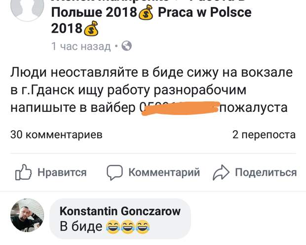 Златоусты соцсетей балуют комментариями