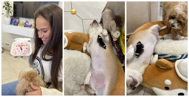 5K7pwyhoA3BfCf0OxvqWsTBaGjXsGLpMunclqO6Dgpje8ufSiBX5gJGrqpMwMCtHDZfao_PT5xspDh4cI4PVJmfq (700x361, 273Kb)