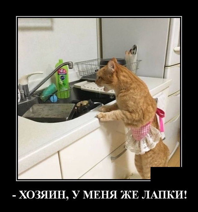 Демотиваторы (30 фото)