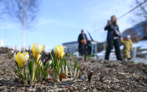 Части россиян рассказали о наступлении весны
