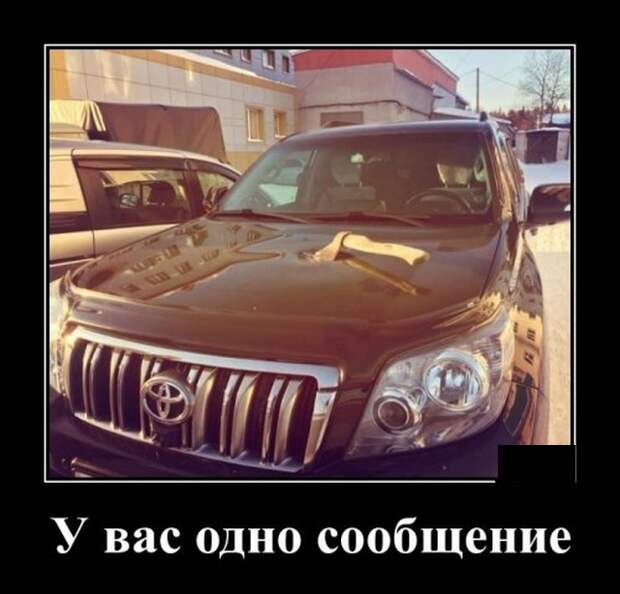 Демотиваторы (20 фото)