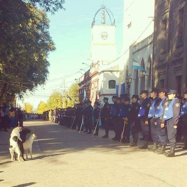 Подборка прикольных картинок