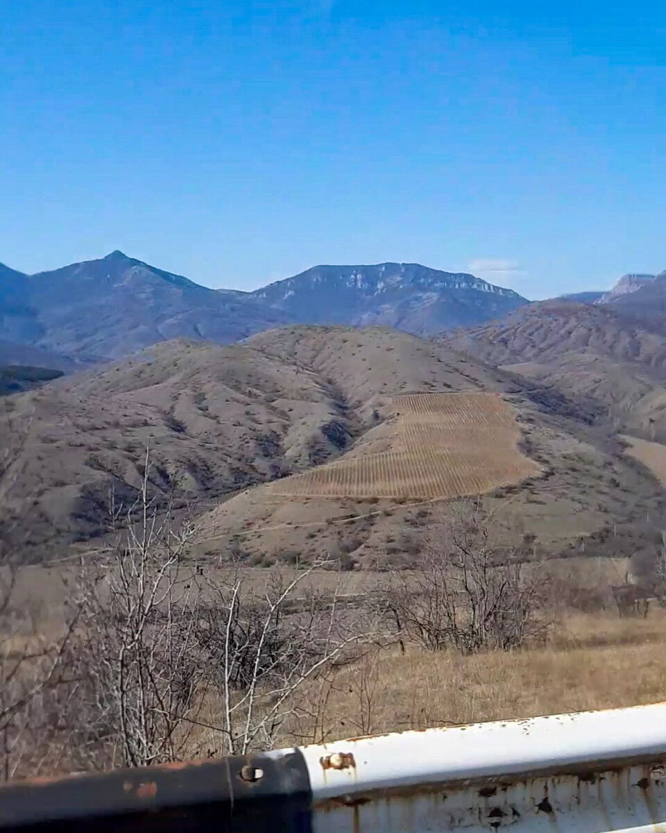 Переезд-многоходовочка. Из Хабаровска до Крыма за 2 недели. С 2мя котами.