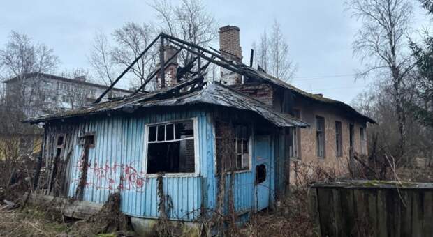 Под Петербургом продают развалюхи под дачи от 4 млн