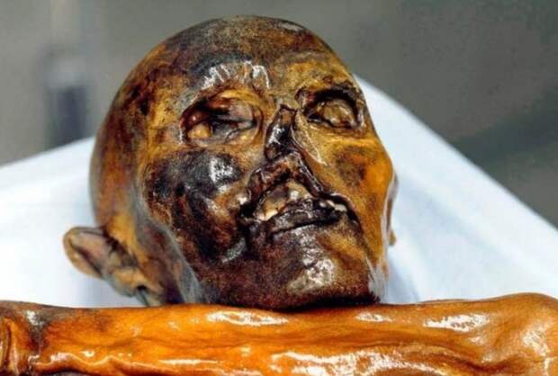 Одни из самых значимых археологических находок!