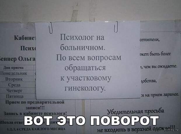 Пост хорошего настроения