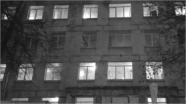 Фото автора.