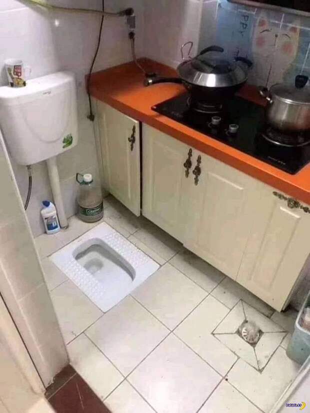 Прикольные картинки - 2730 Прикольные картинки - 2730