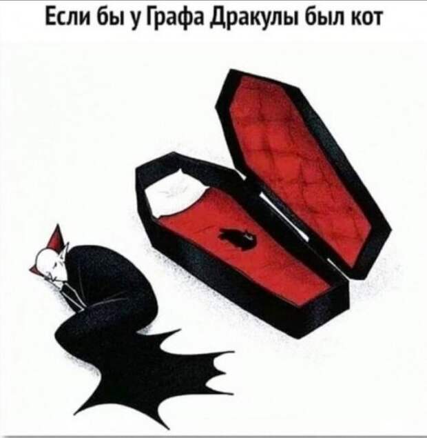 Юмор на любителя