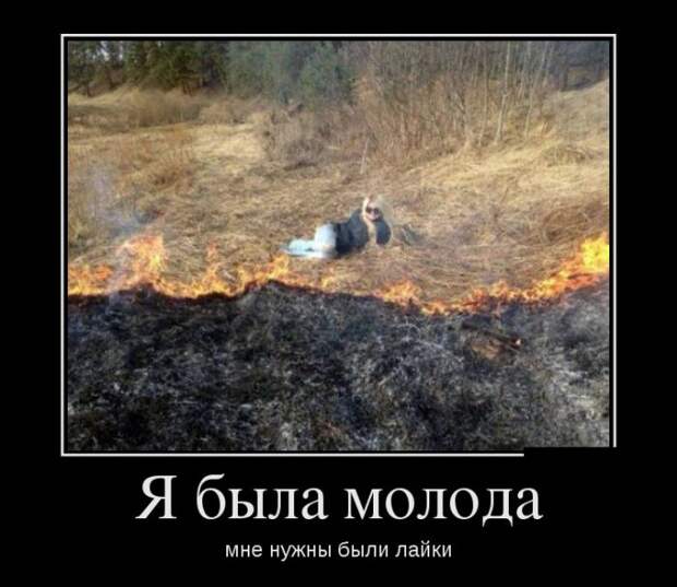 Забавные демотиваторы для веселья (10 фото) Забавные демотиваторы для веселья (10 фото)