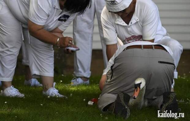 Приколы (55 фото)